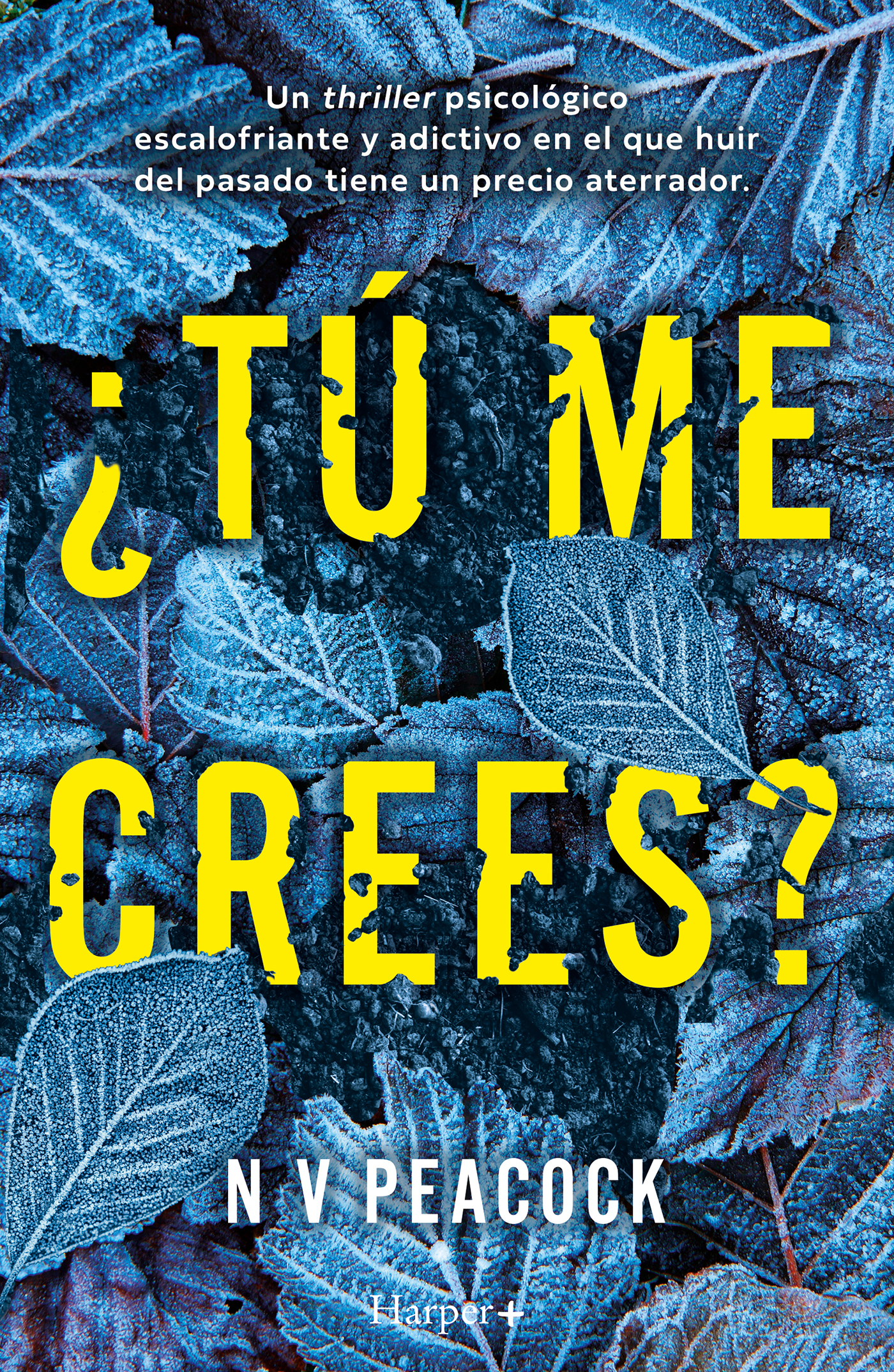 ¿Tú me crees?